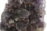 Purple Fluorite Crystal Cluster - Namibia #332629-1